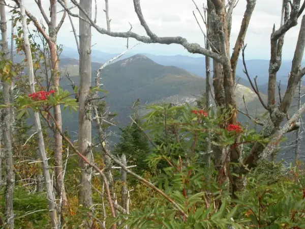A glimpse of Dial Mountain through the trees.