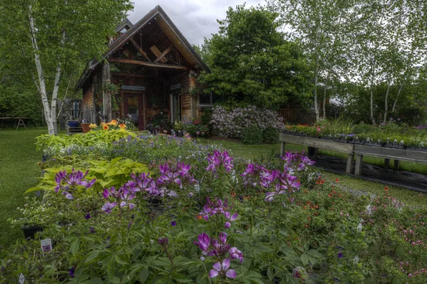 Annuals on tables line the stone path into the Garden Center.