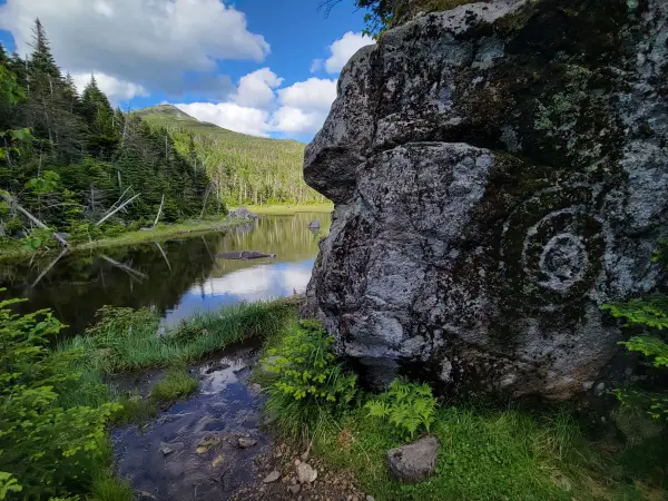 A swirled lichen formation on a rock next to a mountain pond