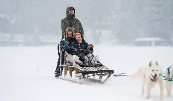 People taking a dog sled ride