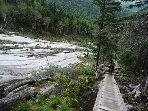 Walking up a long set of wooden stairs on a mountain