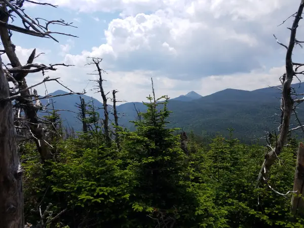 A view through the trees of high mountain