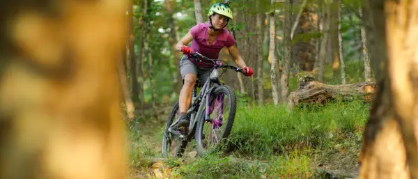 Mountain biker on a trail surrounded by bright green vegetation