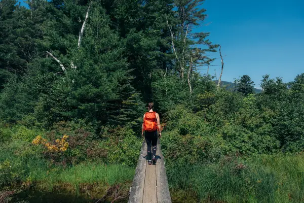 Hiker with red backpack walks on boardwalk over wetland