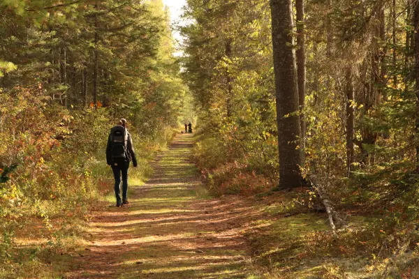 A person walking a flat trail in the fall