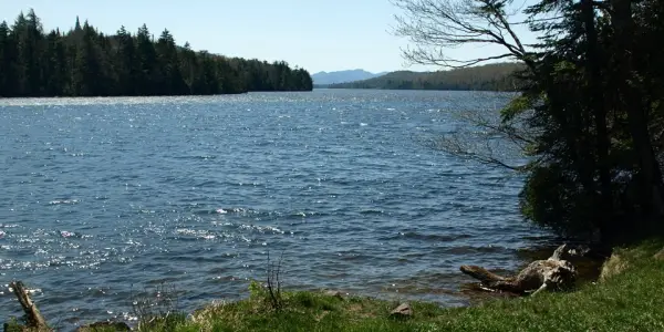 A wild trail to the shore of the lake.