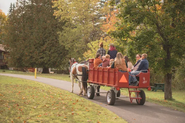 hay ride
