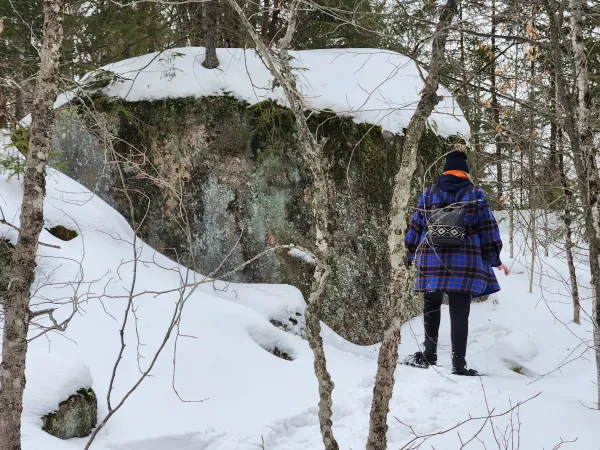 A person in a purple coat contemplates a large rock covered in snow with tree growing from the top