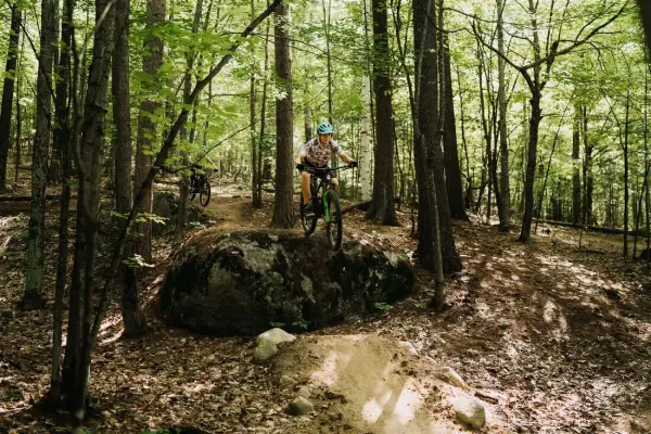 mountain biker on a wooded trail