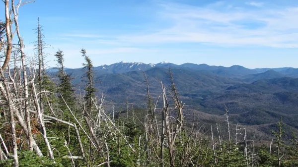 An extensive view of green mountains