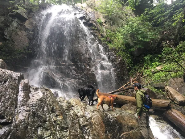 A fanning waterfall with a human and dog at its foot.