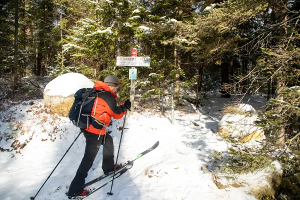 A skier heads into the woods near a larger sign.