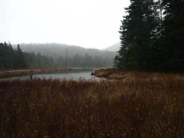 These wetlands support many kinds of birds and gives a view of the Whiteface Range.