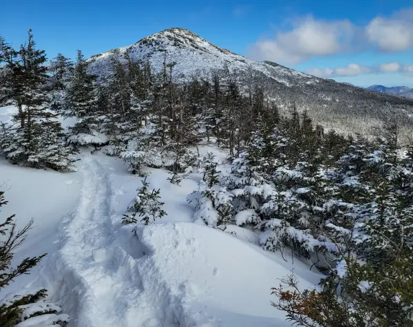 A snowshoe track leads to a summit with a view