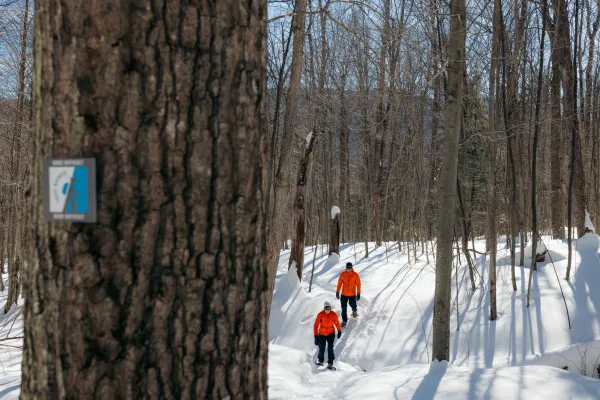 Two hikers snowshoeing in the woods