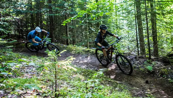 A pair of riders hug a turn on a mountain bike trail