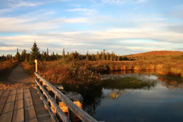 A wooden bridge over water in the fall