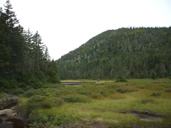 This scenic trail offers the tranquility of Scott and Wallface ponds in the Adirondack High Peaks.