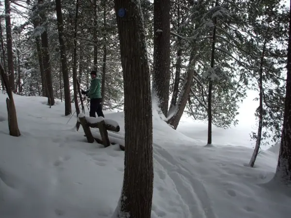 The lakeside trails are especially popular to ski on.