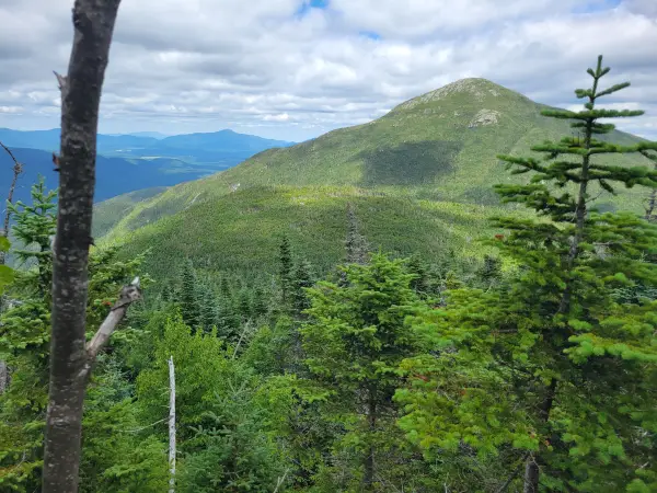 A tall summit seen through trees