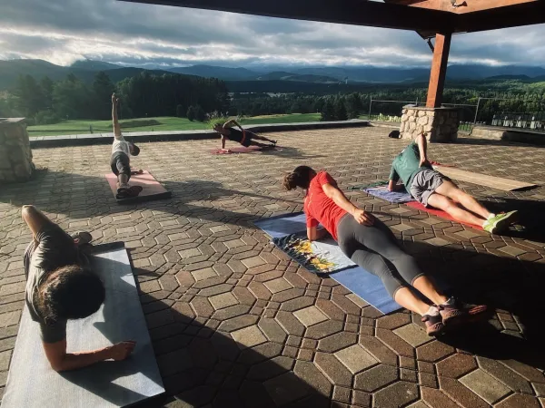 People prop themselves on one elbow with their legs extended in a side plank on yoga mats on covered brick patio