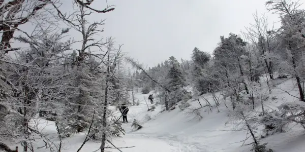 The trail is easy, at first.