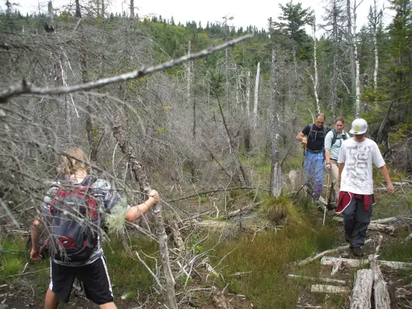 This trail has ponds and wet areas, so arrive prepared.