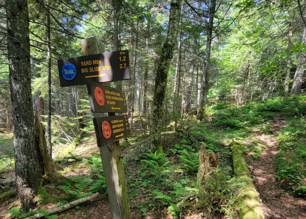 A trail junction with a few wooden signs for mileages