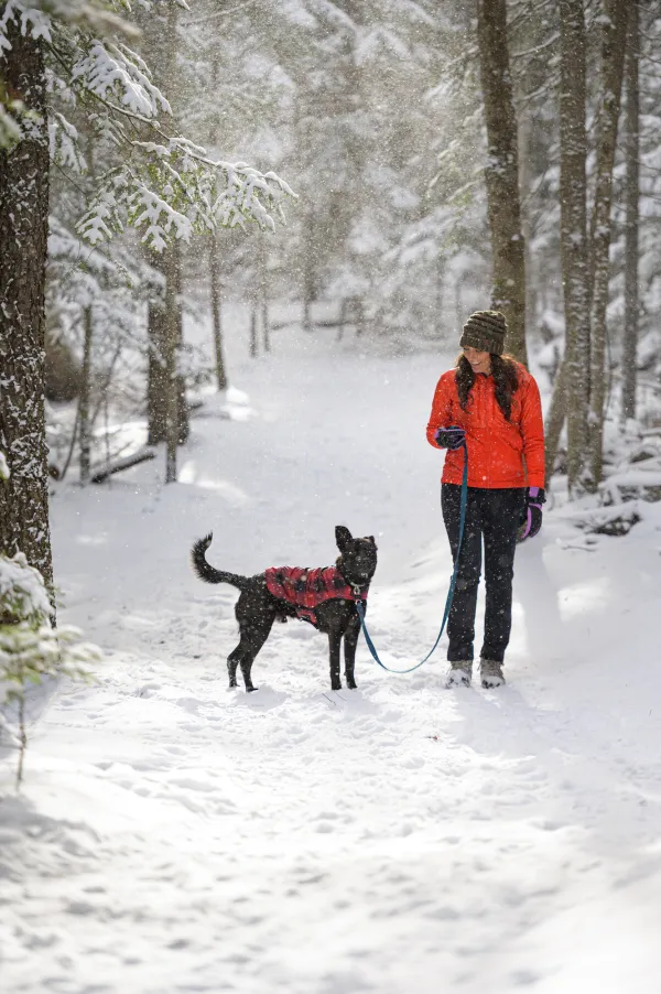 A woman on a winter hike with her dog.