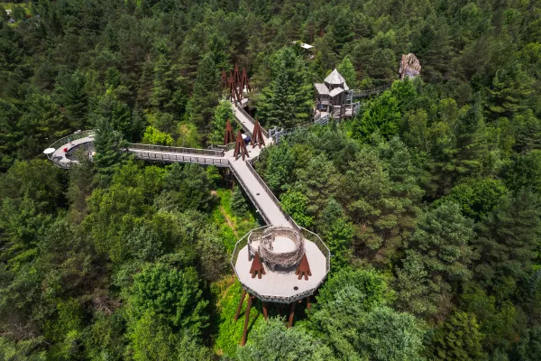wild center