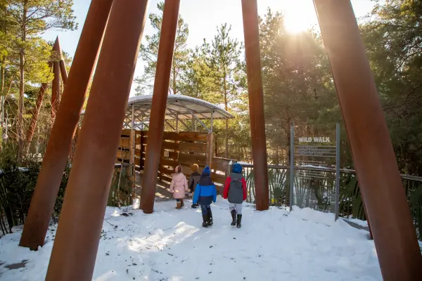 A group of children enter The Wild Walk in the winter