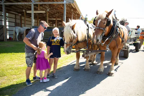 Kids petting large horses