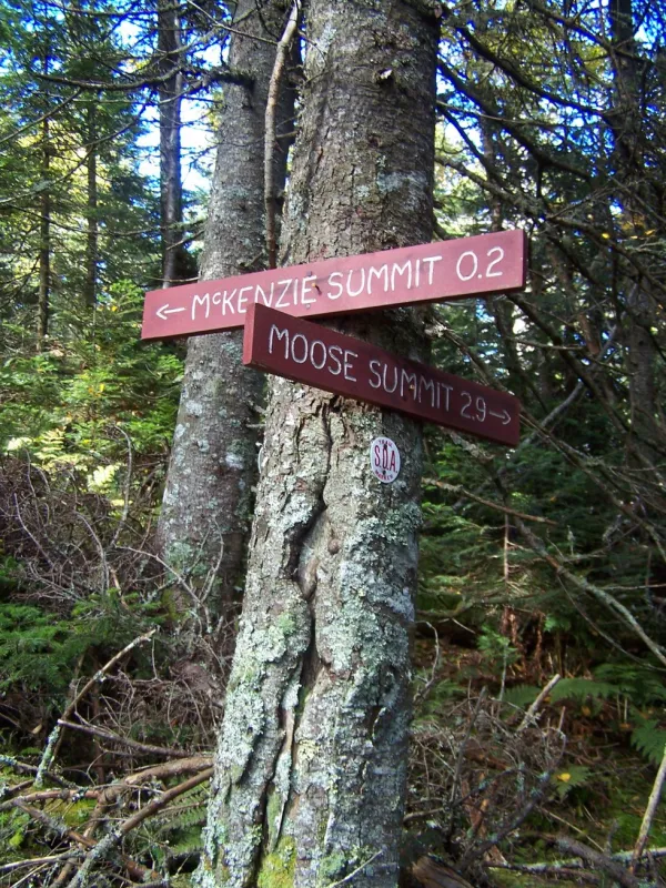 Keep a lookout for the trail junction sign.