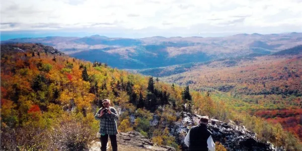 Fall on the top of a mountain