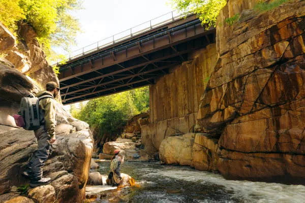 A flyfisher underneath a bridge