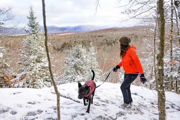 A woman hiking her dog near a snowy viewpoint