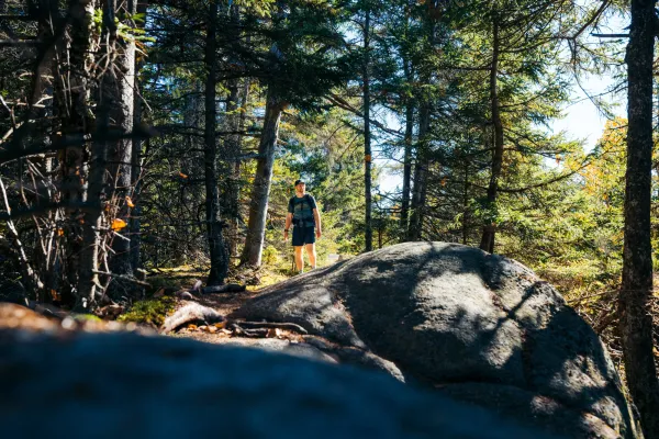 A hiker walking through the forest