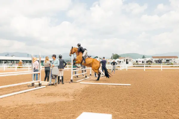 A horse jumping over one of the obstacles. 