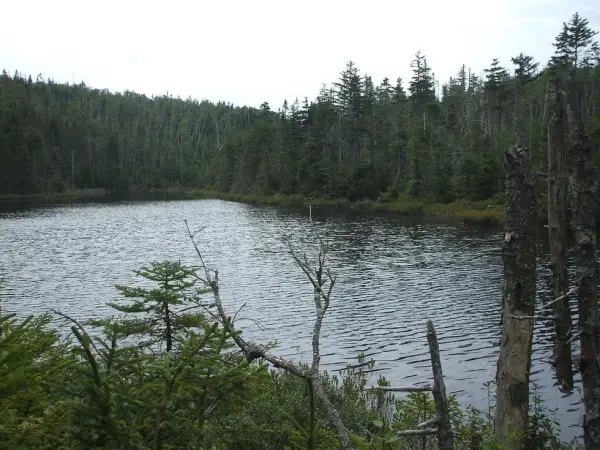 A day hike with stunning, and varied, scenery.