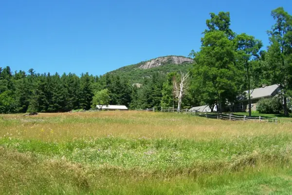 The side roads have a quiet feel, with meadows with mountains in the distance.