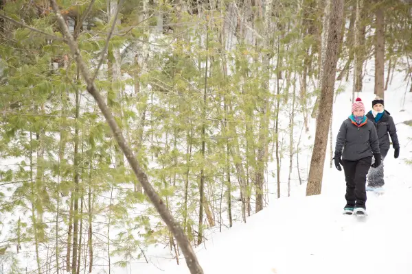 Scenic and sunny trail in the winter, when leaves have fallen.