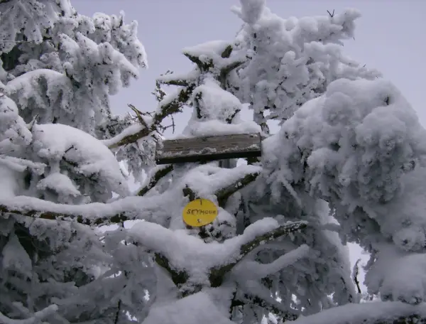 The summit is wooded, the best views are from a ledge below it.