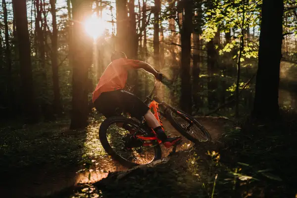 A mountain bike cutting through trees at last light