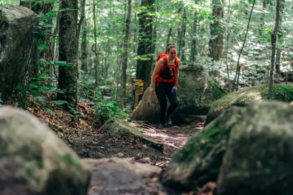 Hiker walks on forested trail