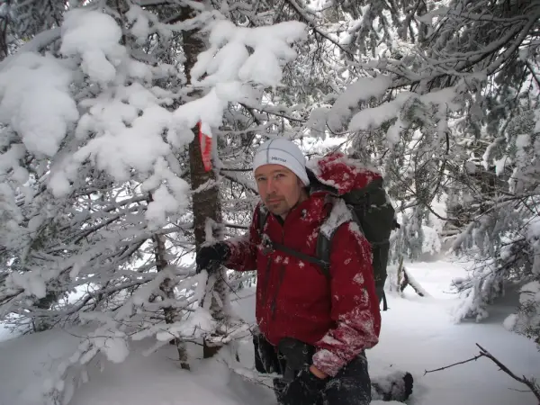 WInter wonderland at the summit of Wilmington Peak.