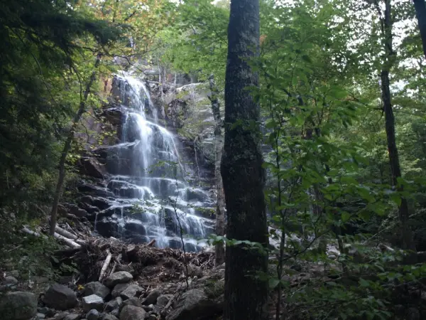 The falls emerge from the trees, but they can be heard much earlier.