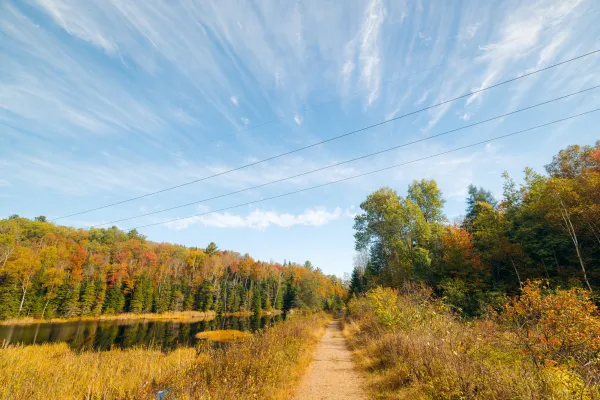 Bloomingdale Bog in the fall