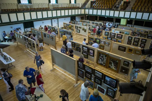 A high-angle view shows a crowd of people browsing an indoor art exhibition.