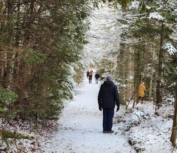 People in winter gear walk on lightly snow-covered trail in evergreen forest