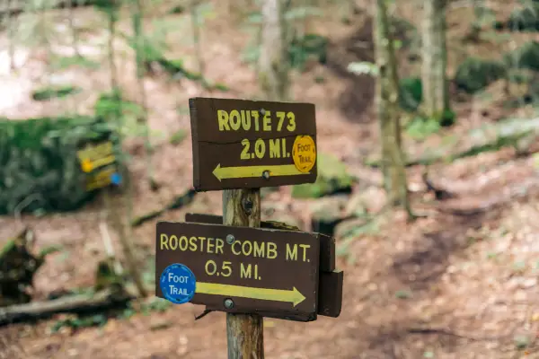 Brown and yellow direction trail signs with trail markers